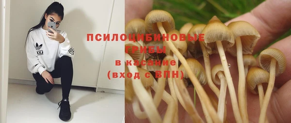 прущая мука Аркадак