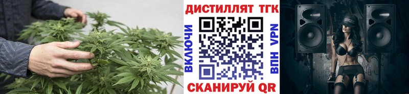 ТГК THC oil  как найти   Ростов 